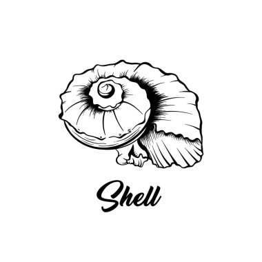 Deniz kabuğu siyah ve beyaz vektör çizimi. Spiral şekilli deniz yaratığı serbest çizim yapıyor. Egzotik yumuşakça, deniz omurgasız hayvan oyması. Yaz tatili poster tasarımı ögesi
