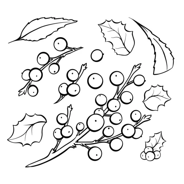 Mistletoe Hand Drawn Vector Illustrations Set Natural Berries Bunches Leaves — 图库矢量图片