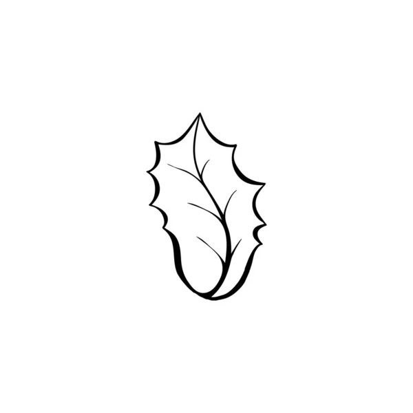 Illustration Dessinée Main Par Ilex Aquifolium Leaf Arbuste Sempervirent Feuille — Image vectorielle