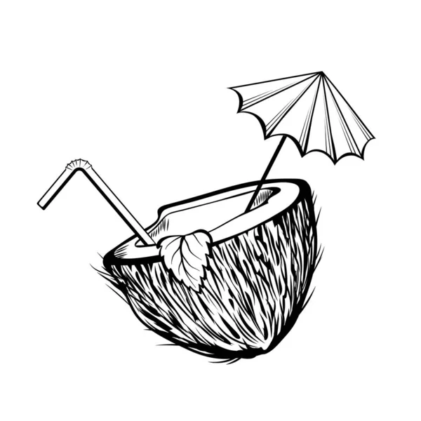 Coco cocktail desenhado à mão ilustração vetorial — Vetor de Stock