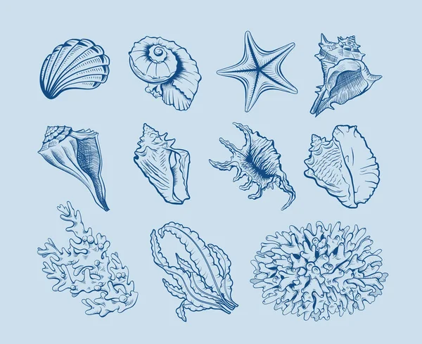 海洋生物手绘矢量图集 用蓝色背景的手绘扇贝 珊瑚礁生态系统动物 层状雕刻轮廓 海报设计元素 — 图库矢量图片