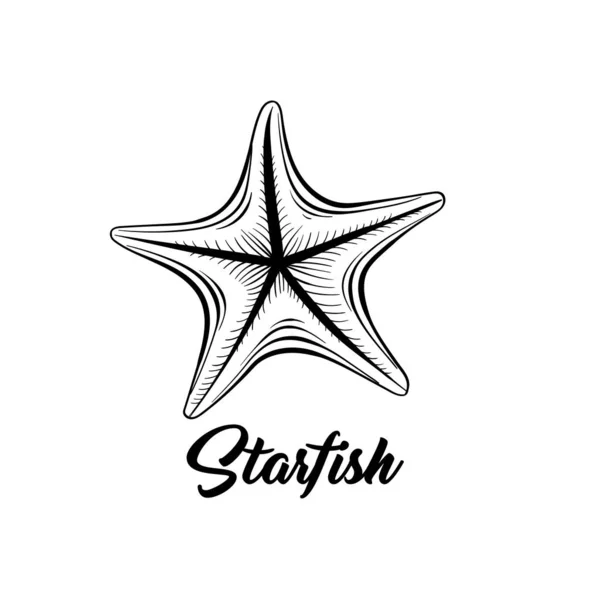 Starfish Svart Och Vitt Vektor Illustration Sealife Saltvatten Varelse Fri — Stock vektor