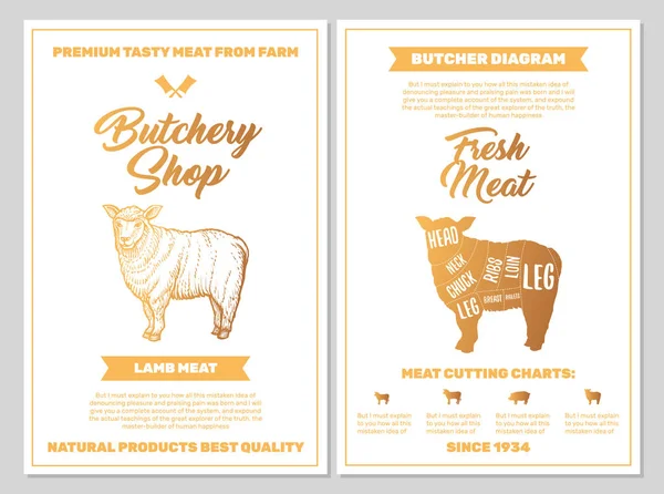 Butchery Shop Poszter Bárány Húsvágó Grafikonok Arany Színekben Fehér Blackground — Stock Vector