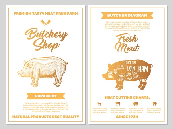 Butchery Shop Poster Pork Meat Cutting Charts Golden Colors White — 스톡 벡터