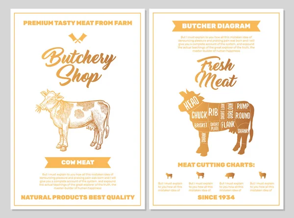 在白色的黑土上有金黄色的奶牛肉切割图的肉铺海报 矢量垂直印刷模板 素描手绘农场动物图解 屠夫指南图设计 — 图库矢量图片
