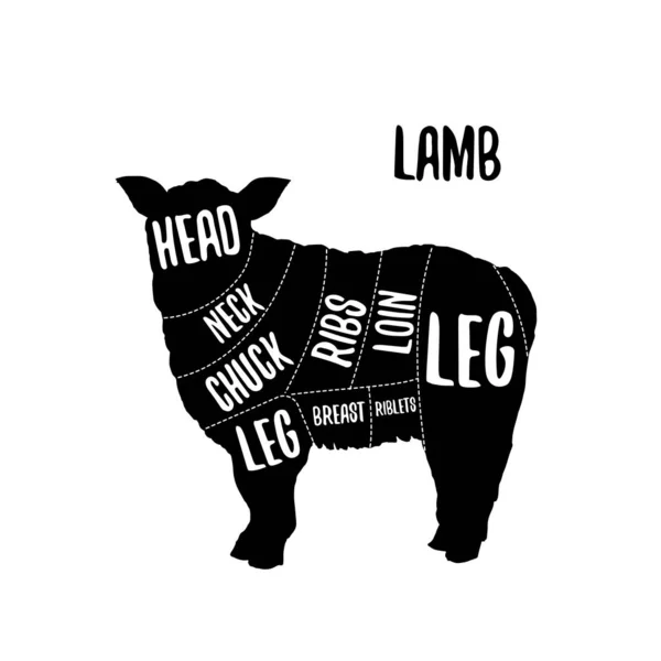 Lamb Meat Cutting Charts Vector Illustration Butchers Shop Guide Label — 스톡 벡터