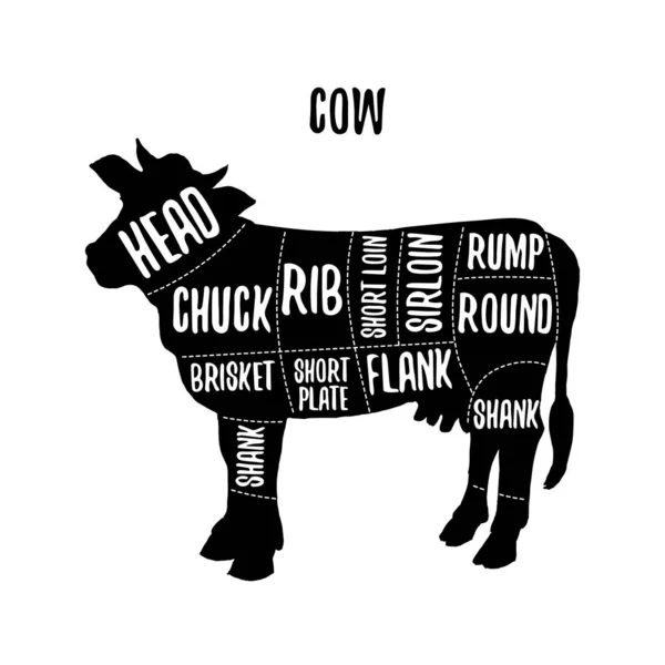 Gráficos Corte Carne Vaca Ilustração Vetorial Para Guia Talho Rótulo —  Vetores de Stock