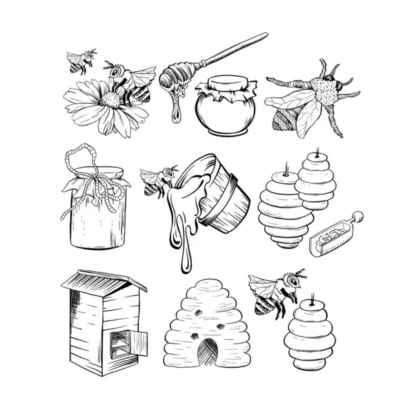 Honig Skizzen Set Bienenstock Honigglas Tonne Topf Löffel Und Blume — Stockvektor