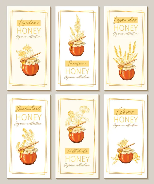 Honigblumen Vintage Vertikale Flyer Design Gravierte Klee Milchdistel Und Sainfoin — Stockvektor