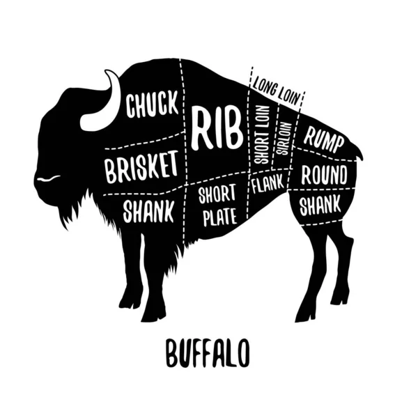 Buffalo Gráficos Corte Ilustración Vectorial Para Carniceros Guía Tienda Etiqueta — Vector de stock