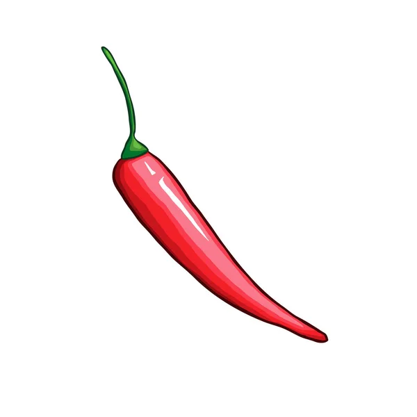 Chili Single Pepper Hand Drawn Vector Illustration Traditional Mexican Food — 스톡 벡터