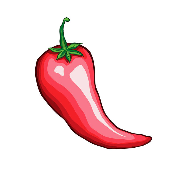 Chili single pepper hand drawn vector illustration. Traditional mexican food ingredient cartoon symbol. Natural spicy vegetables, tasty organic spices. Delicious cayenne, red jalapeno