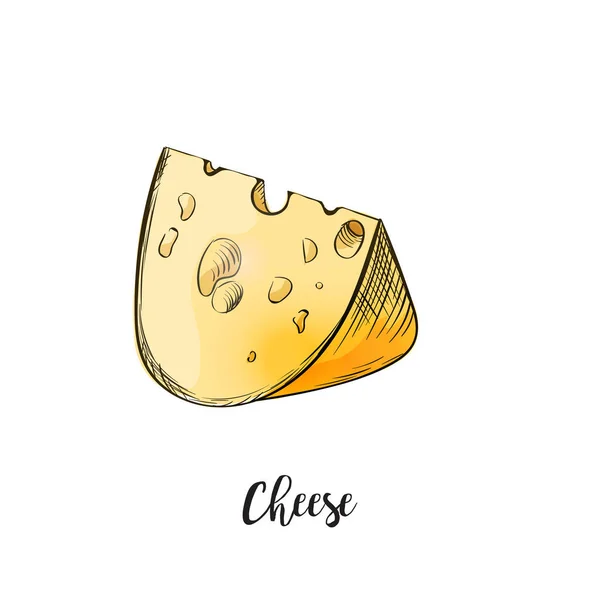 Peynir Karikatürü Elle Çizilmiş Renkli Büyük Parça Maasdam Sviçre Tipi — Stok Vektör