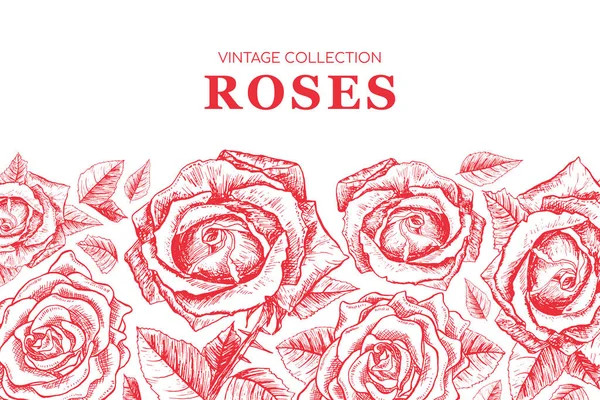Rote Rosen Konturbanner Oder Grußkarte Blumen Vektormuster Drucken Hintergrund Mit — Stockvektor