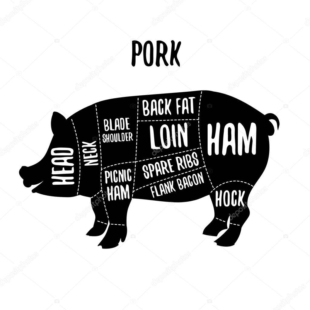 Pork meat cutting charts vector illustration for butchers shop guide. Label for farm design