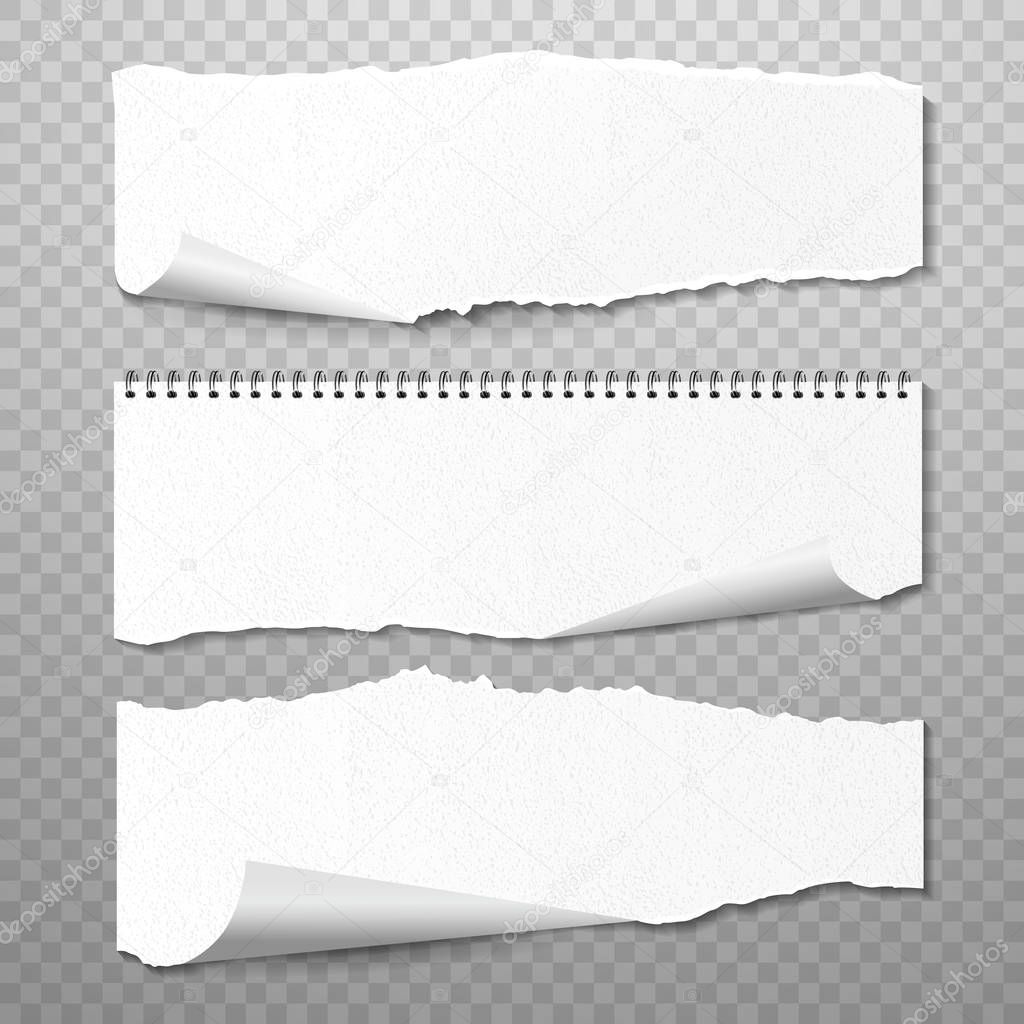 Horizontal Torned Papers Vector Set. Realistic 3d render Blank Pieces of Paper with Ragged Edges, White Pages with Copy Space Isolated on Transparent Background and Realistic Shadow