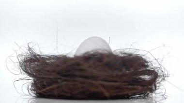 spinning nest with egg on white 