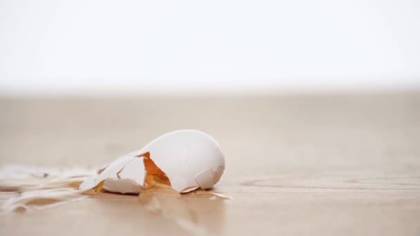 Raw Egg Falling Floor Isolated White — Stock Video