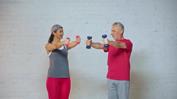 Happy Senior Interracial Couple Exercising Dumbbells — Stock Video