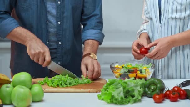キッチンでサラダを作るシニアカップルの — ストック動画