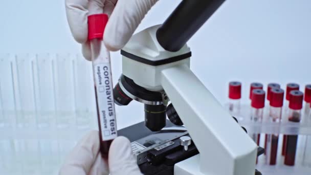 コロナウイルスの血液サンプルを液体に加える科学者のクロップドビュー — ストック動画