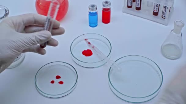 Bijgesneden Weergave Van Wetenschapper Toevoegen Van Coronavirus Bloedmonster Petrischaaltje — Stockvideo