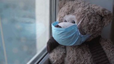 Pencerenin yanındaki mavi tıbbi maskeli oyuncak ayı. 