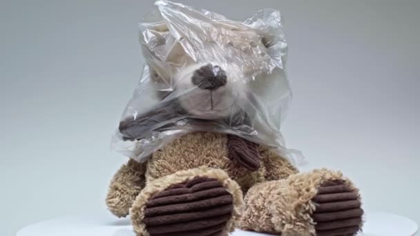 Пластиковый Пакет Плюшевого Медведя Изолирован Серый — стоковое видео