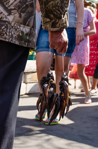 Bando de gobies frescos pendurados em um fio na mão do homem no mercado. Pessoas irreconhecíveis, tronco inferior. Dia de verão. Fechar. — Fotografia de Stock