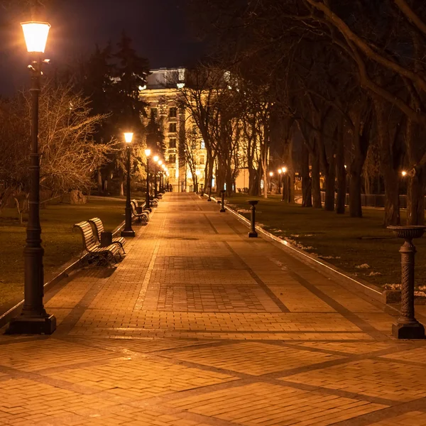 Parque da cidade de inverno noturno com fileira de lanternas e bancos. Caminho do parque em perspectiva. Espaço de cópia . — Fotografia de Stock