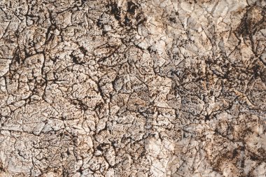 Koyu kahverengi buruşuk kağıt dokusu. Soyut grunge arkaplanı.