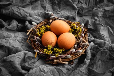 Three chicken eggs in bird's nest made from natural materials decorated with spring twigs and flowers on gray background from draped fabric. Easter decoration. Spring coming and Happy Easter concept