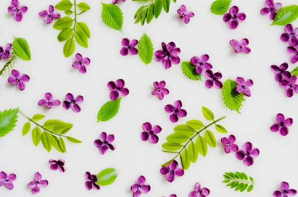 精致的紫丁香花和幼嫩的春叶 背景为乳白色 季节性的抽象背景 顶部视图 — 图库照片