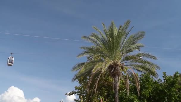Füniküler Kabinler Arka Planda Gökyüzü Olan Palmiye Ağaçları Üzerinde Hareket — Stok video