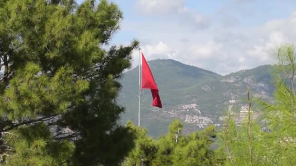 Большой Красный Флаг Летит Ветру Хвойными Породами Фоне Гор — стоковое видео