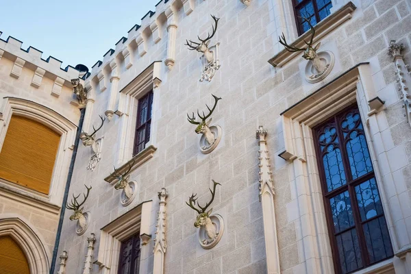 Szarvasfejek díszítik a kőfalat gyönyörű ablakokkal egy régi kastélyban. — Stock Fotó