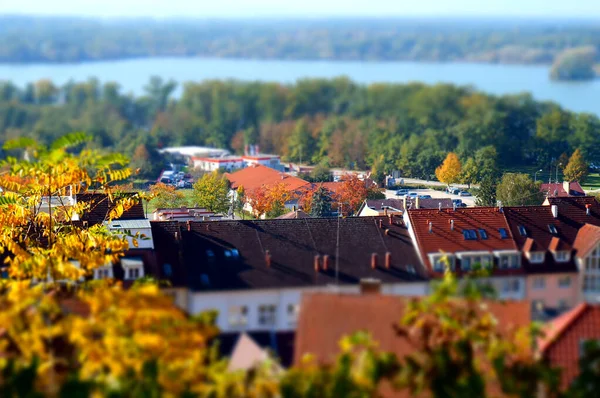 Brown city rooftops between golden forest in autumn in Czech Republic in Praha — Stock Photo, Image