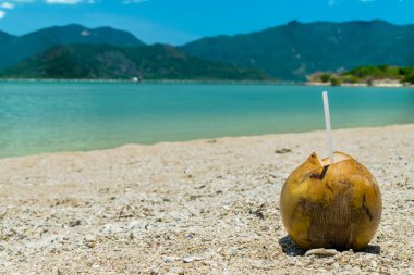 Brown coconut with drinking straw on sand on beach in tropics