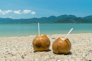 Pair of ripe coconuts with drinking white straws on sand at the beach in the tropics on vacation