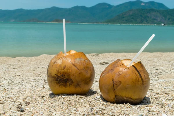 A pair of ripe coconuts with drinking straws on sand at the beach in the tropics on vacation — Stok fotoğraf