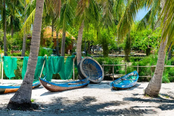 Old boats on the shore in a tropic park with palm trees — Stock Photo, Image