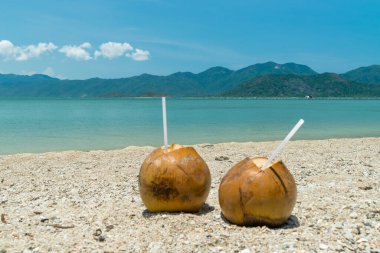 Bir çift olgun hindistan cevizi, kumsalda kumlar üzerinde beyaz pipetler içmek güneşli tatillerde tropiklerde