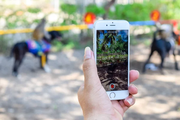 Kéz Hosszú Körmök Képeket Készít Telefonon Lovasok Verseny Parkban Jogdíjmentes Stock Képek