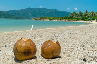 Bir çift olgun hindistan cevizi, kumsalda kumda beyaz pipetler içiyorlar.