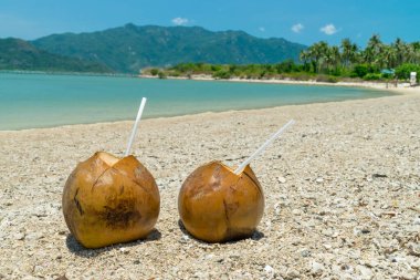 Bir çift olgun hindistan cevizi. Plajda, tropiklerde, kumlarda pipet içiyorlar.