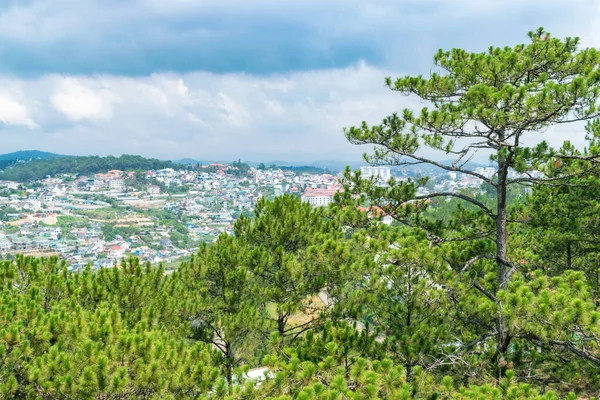 Panoramic view of the city with trees in the foreground