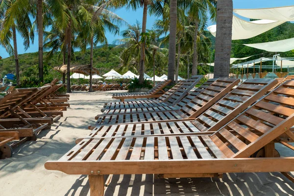 Plajda, tropiklerin gölgesinde, palmiye ağaçlarının altında bir sıra tahta güneşlik.