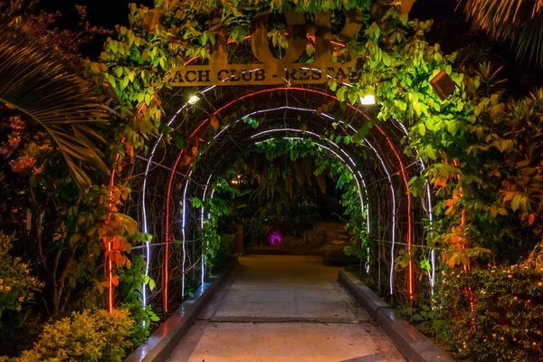 Túnel Oscuro Con Luces Neón Flores Parque Por Noche — Foto de Stock