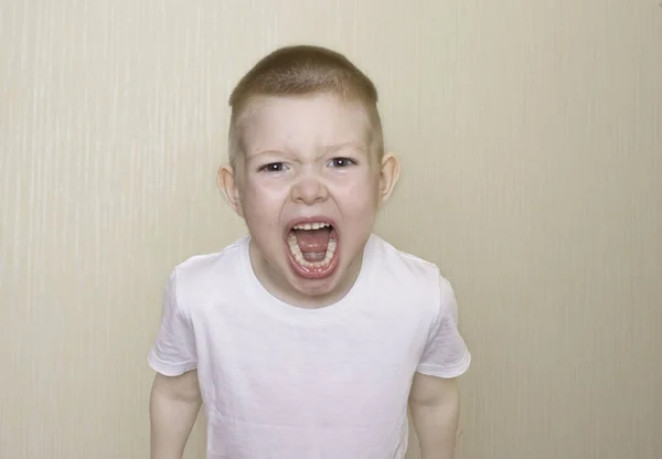 Concepto Agresión Infantil Problemas Con Educación Niño Enojado Grita Cámara —  Fotos de Stock