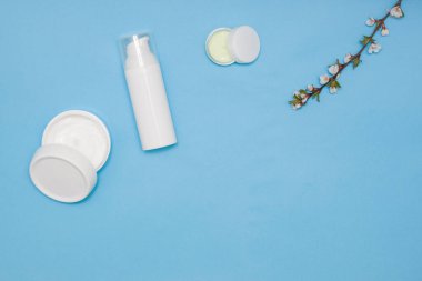 Yüzün derisi için krem açık mavi arka planda, çiçekli bir dal. Cilt bakımı, sağlık. Metin için boş alan.